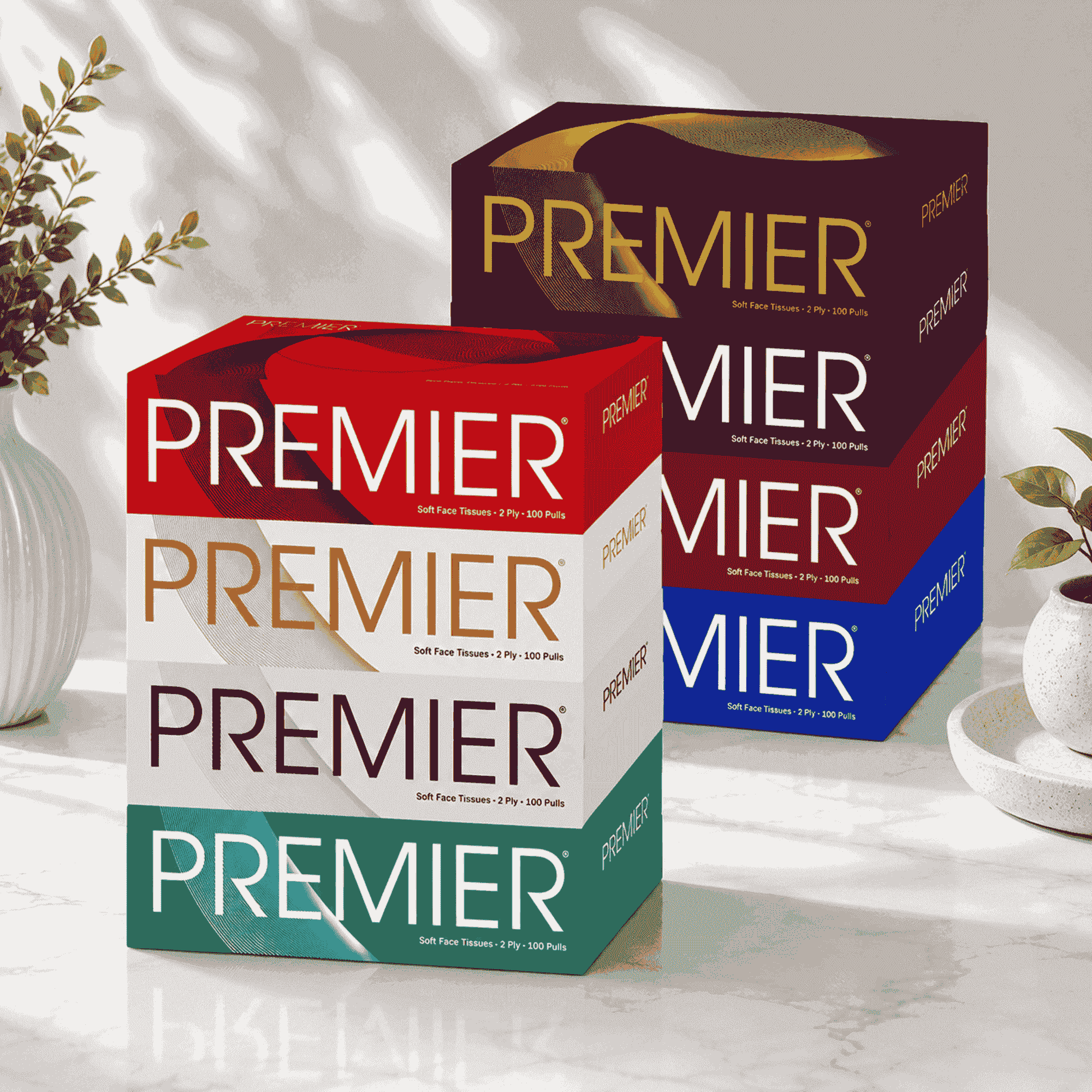 Premier Face Tissue Box 100 Pulls 4x1 - Pack of 2