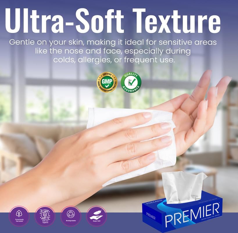 Premier Face Tissue Box 100 Pulls 4x1 - Pack of 2